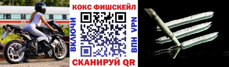 Cocaine FishScale  Купить закладки  Козельск 