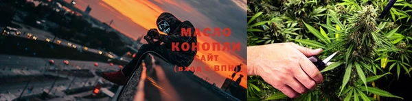 тгк Дмитров