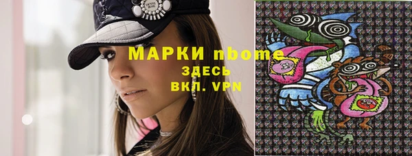 стафф Дмитровск