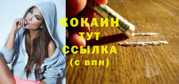 стафф Дмитровск