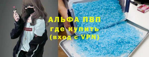 тгк Дмитров
