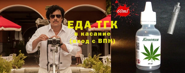тгк Дмитров